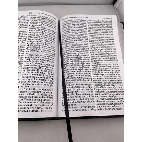 KJV Giant Print Reference Holy Bible Charcoal LeatherTouch Holman - Picture 11 of 12